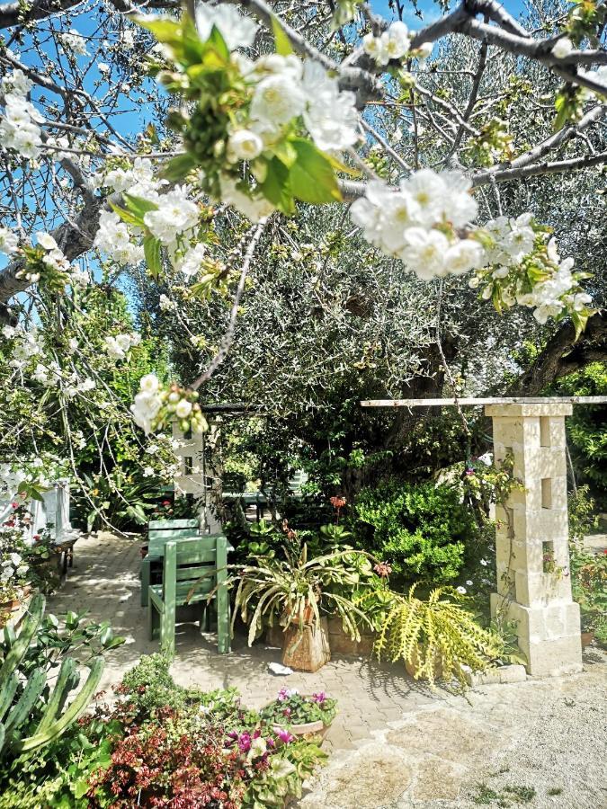 La Casa Nel Villaggio Montalbano (Apulia) Exterior foto